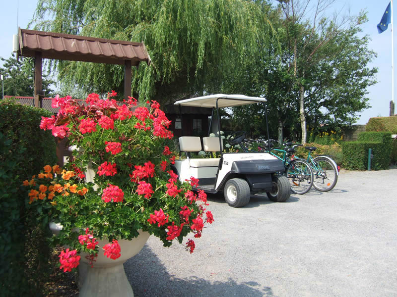 Camping les Palmiers Bray-Dunes